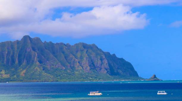 istock Colours of Hawaiian Beach 1183821000