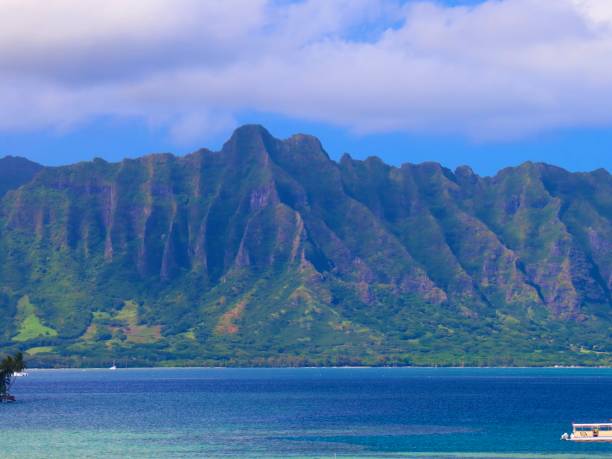istock Colours of Hawaiian Beach 1183821034