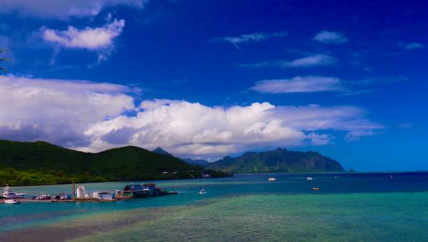 istock Colours of Hawaiian Beach 1183821134