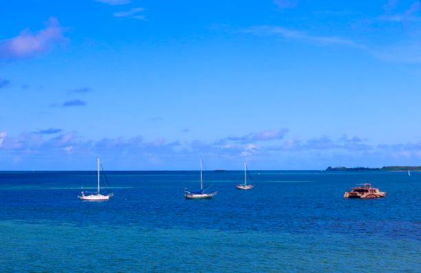 istock Colours of Hawaiian Beach 1183821158