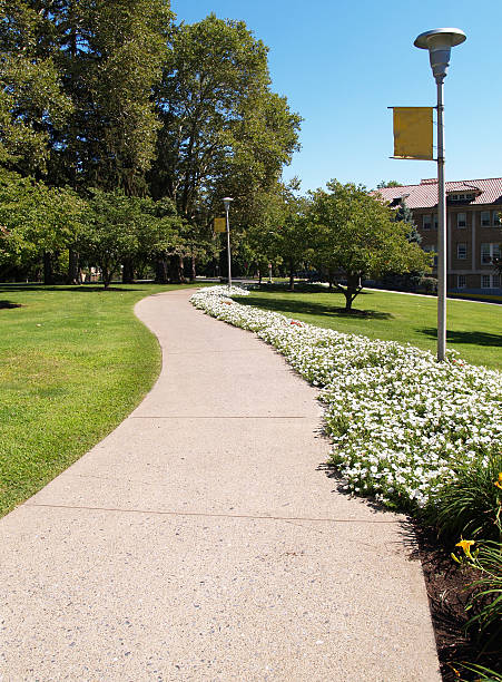 istock curving sidewalk on a college campus 118382254