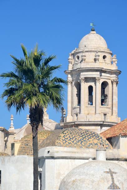 istock Cathedral, Cadiz, Andalucia 1183823210
