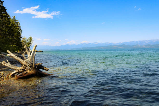 Flathead Lake, Montana, USA taken in the summer of 2018