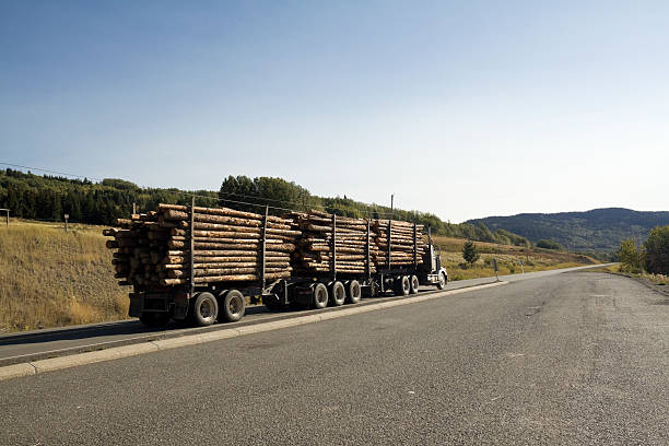 istock Logging truck driving uphill 118382570