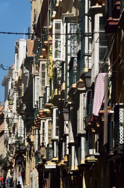 istock Cadiz, Andalusia 1183829161