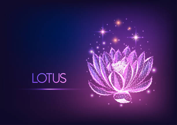 illustrazioni stock, clip art, cartoni animati e icone di tendenza di futuristico incandescente basso vano acquatico poligonale, fiore di loto con stelle isolate su sfondo sfumato blu scuro e viola. - water lily lotus flower water