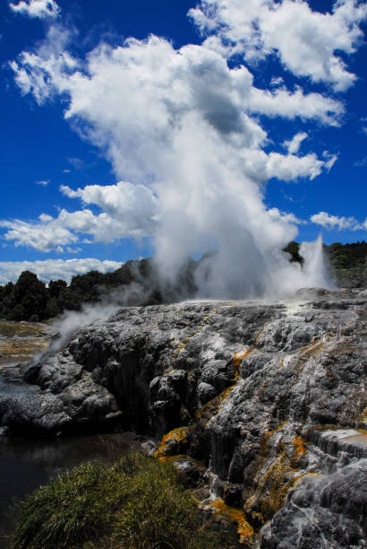 гейзер, национальный парк роторуа, новая зеландия - new zealand geyser champagne park стоковые фото и изображения