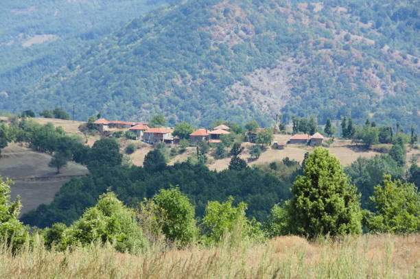 istock Village in Pcinja district, Serbia 1183831479