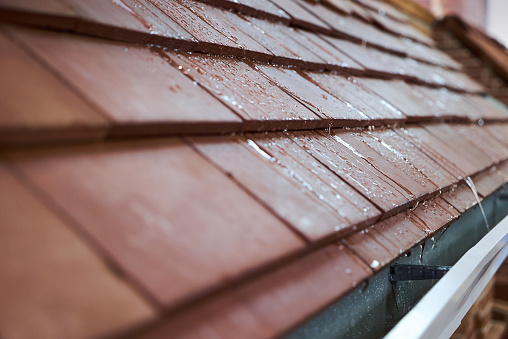 Wet tile roof of the house, close-up. Modern tile roof with rain drops
