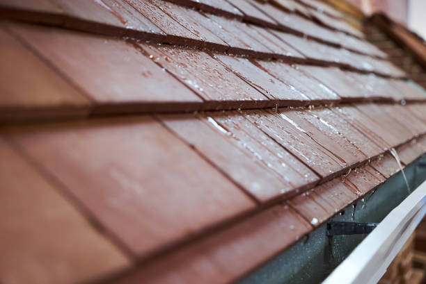 Wet tile roof of the house, close-up. Modern tile roof Wet tile roof of the house, close-up. Modern tile roof with rain drops water repellent stock pictures, royalty-free photos & images