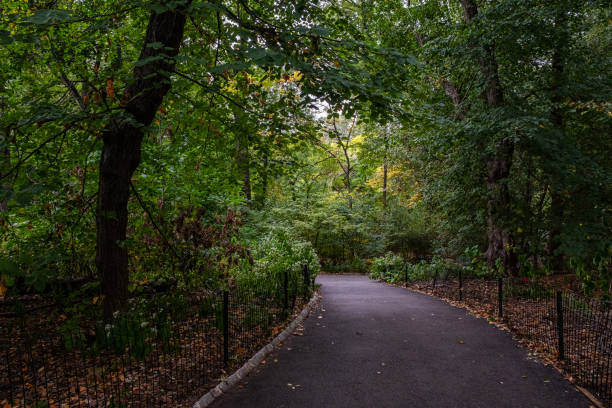 istock Early autumn color in Central Park South 1183834229
