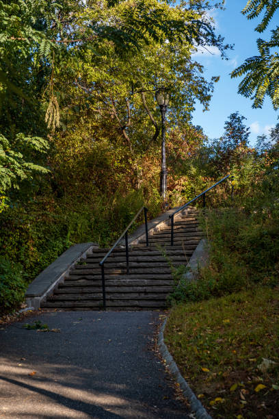 istock Early autumn color in Central Park North 1183834239