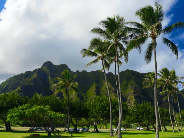istock Hawaiian mountains green and lush 1183834323