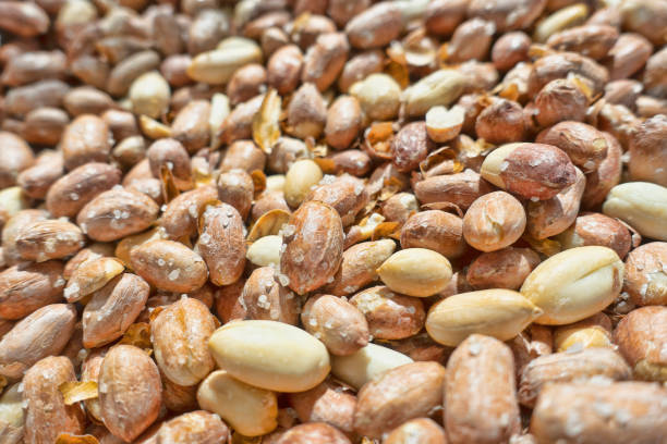 istock Group of salted dry peanuts background 1183838259