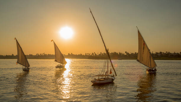 istock Traditional fellucas sailing boat silhouette at sunset 1183838455