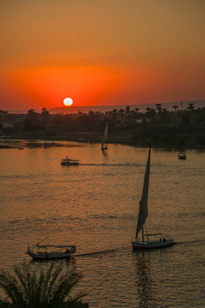 istock Traditional fellucas sailing boat silhouette at sunset 1183838474