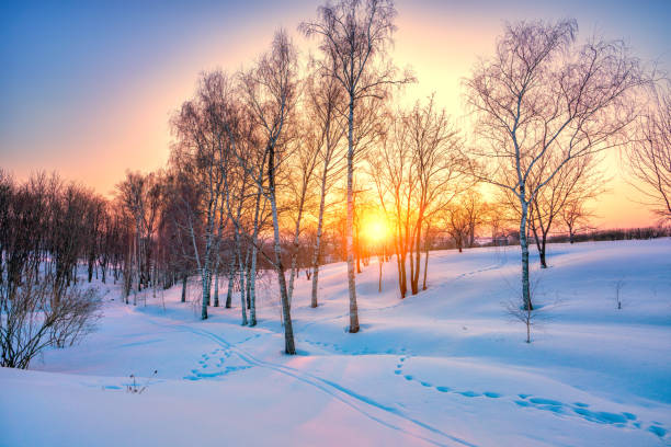 カラフルな冬の夕日 - rural scene russia ski track footpath ストックフォトと画像