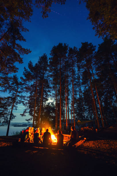 Friends in forest near bonfire at campsite. Group of people under night sky with stars enjoy nature holidays at camping place. Friends in forest near bonfire with guitar. Group of people under night sky with stars enjoy holidays at camping place. campfire stock pictures, royalty-free photos & images