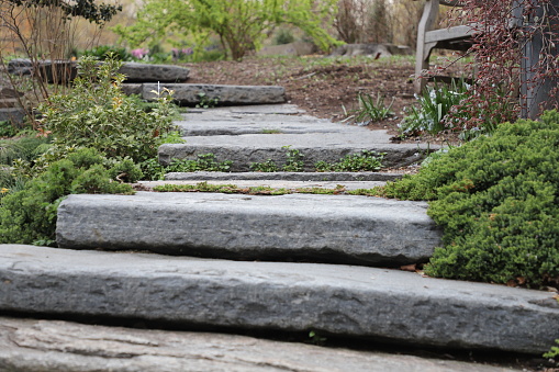 Stone steps in a lush garden