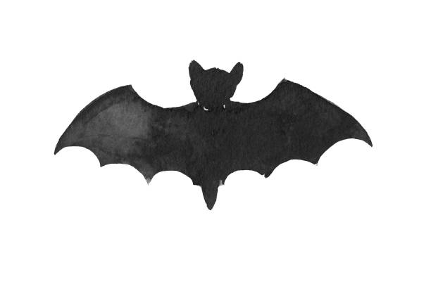 ilustraciones, imágenes clip art, dibujos animados e iconos de stock de una silueta de tinta negra de murciélago - bat halloween silhouette wing