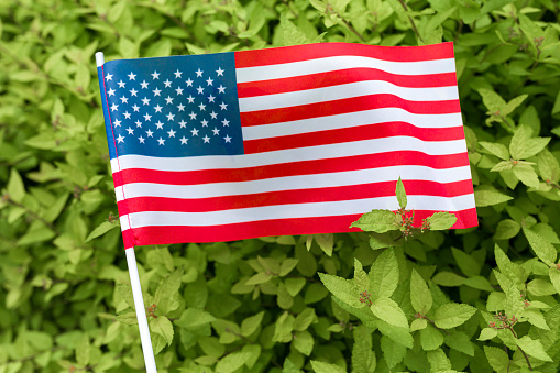 USA Flag on green background