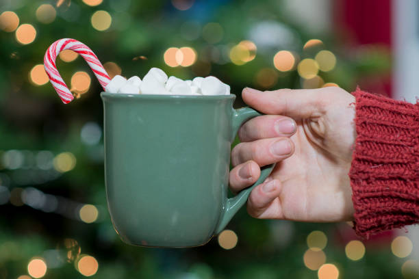 istock Having a Cozy Christmas Eve In 1183845885