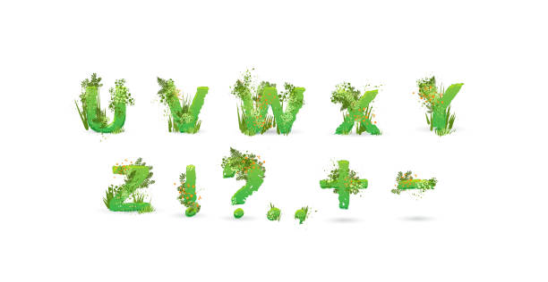 istock Green Leaves font. Vector illustration. Stylish eco alphabet from colorful tropical leaves, bushes, flowers and nature elements. Egology and natural font, summer and tropical letters isolated on white 1183846094