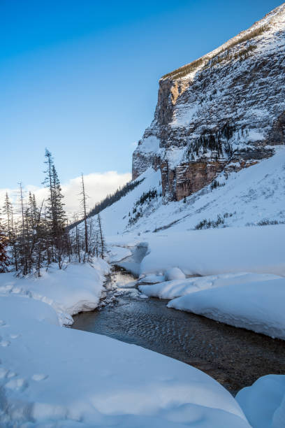 Beautiful view of Frozen Lake Louise during winter in the dawn at Banff national park, Alberta, Canada