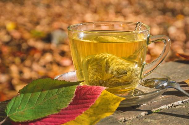 istock Interesting idea for an autumn drink. 1183850179