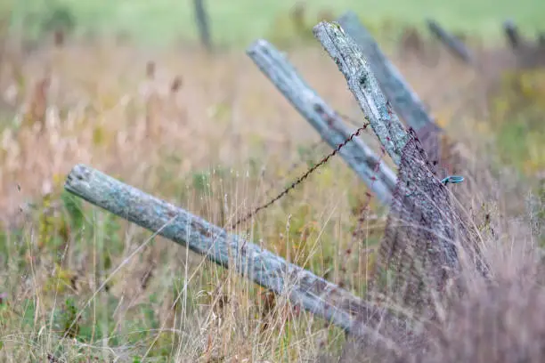 rural landscape abandoned fenceposts