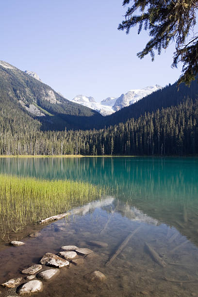 istock Joffre Lake, Canada 118385356