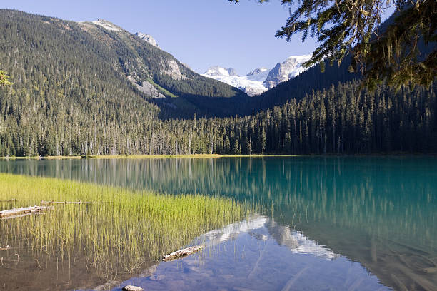 istock Joffre Lake in Canada 118385372