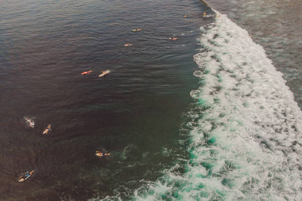 istock Surfers on the waves in the ocean, top view 1183856637