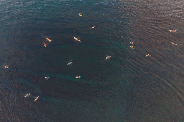 istock Surfers on the waves in the ocean, top view 1183856645