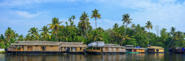istock Panoramic river view and traditional house boat in Kerala's Backwaters, India. 1183860190