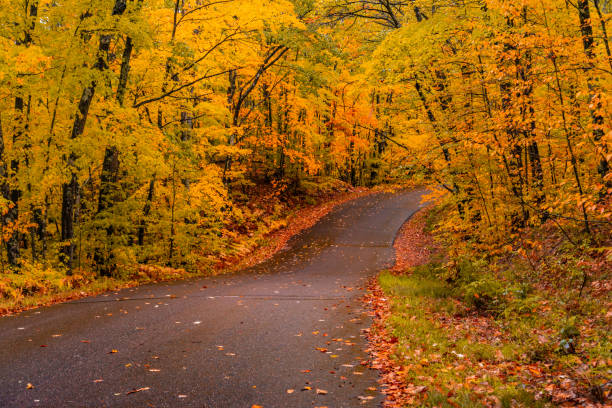 istock Wisconsin Road in Autumn 1183863881