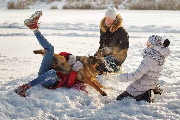 istock To walk the dog 1183864826