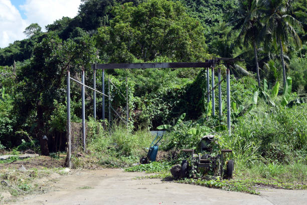 istock Wasted dilapidated rustic old farm tractor covered by vegetation left on the vicinity of agricultural college campus 1183869932