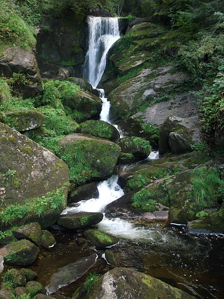idílico triberg cachoeiras, no sul da alemanha - black forest waterfall triberg landscape - fotografias e filmes do acervo