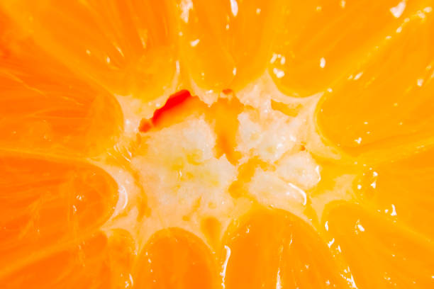 istock Fresh orange slice close up. Macro photo. 1183876321