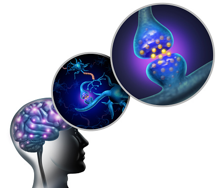 Neurology anatomy and nerve cells inside the brain and nervous system concept as a neuron function symbol for multiple sclerosis or alzheimer disease or mental health icon with 3D illustration elements.