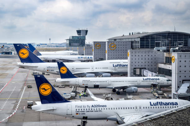 lufthansa aircraft park am frankfurter flughafen - boeing 747 fotos stock-fotos und bilder