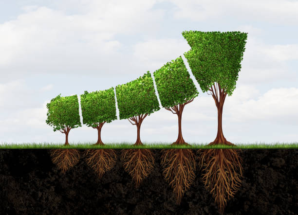 istock Growing Economic Success 1183884730