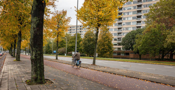 istock Rear view of a man riding a bicycle, Rotterdam Netherlands. 1183888092