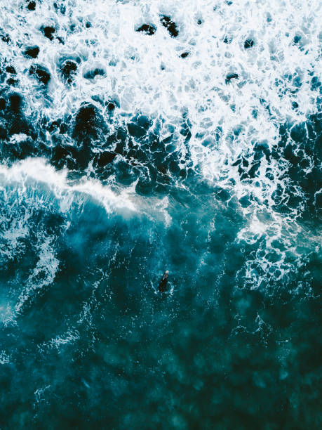 istock Lone Surfer at Burleigh Beach 1183888851