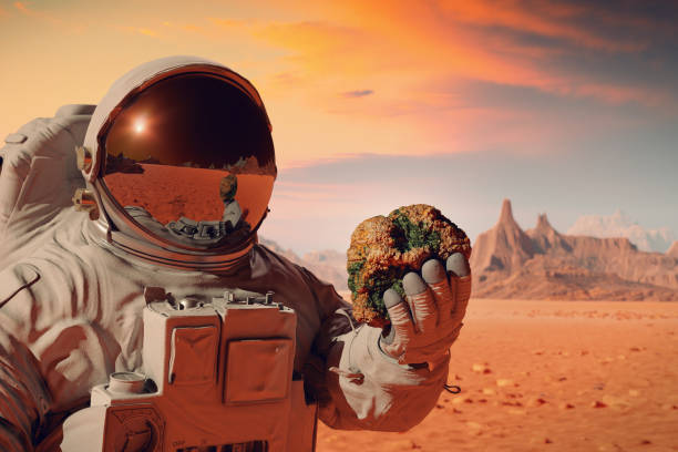 life on planet Mars, astronaut discovers living organisms inside a rock stock photo