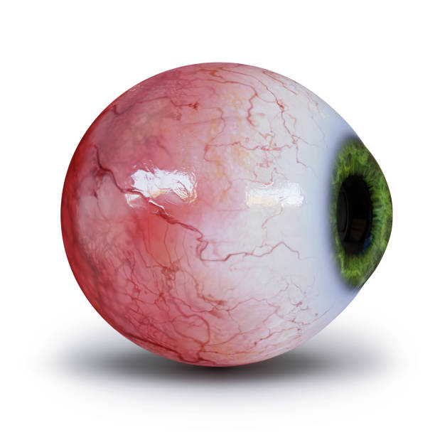 istock realistic human eyeball with green iris isolated with shadow on white background (3d rendering) 1183890033
