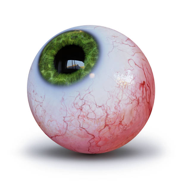 istock realistic human eyeball with green iris isolated with shadow on white background 1183890056