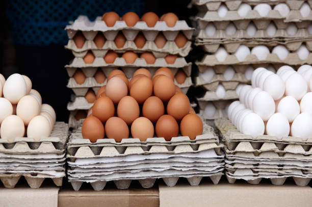 istock Various eggs in egg trays in farm market 1183893931