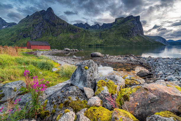 norvège nature étonnante - tromso lofoten and vesteral islands lofoten norway photos et images de collection